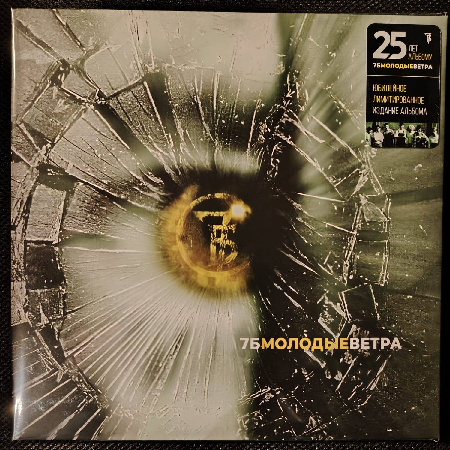 7Б – Молодые Ветра (25th ann.)